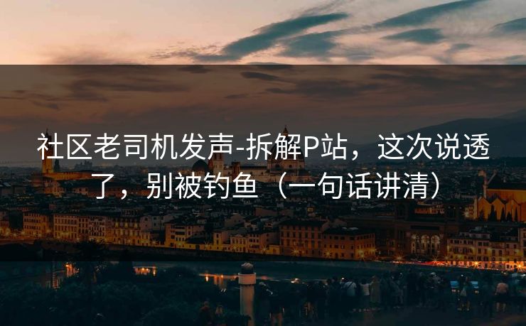社区老司机发声-拆解P站，这次说透了，别被钓鱼（一句话讲清）