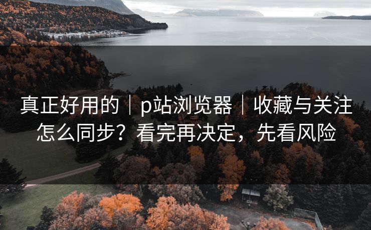真正好用的｜p站浏览器｜收藏与关注怎么同步？看完再决定，先看风险