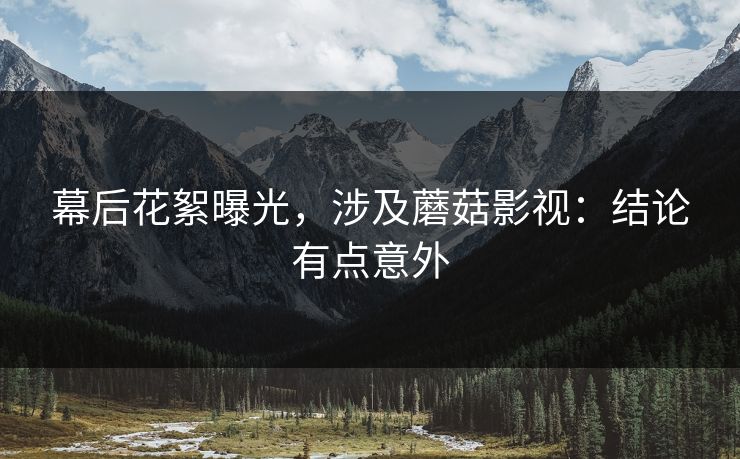 幕后花絮曝光,涉及蘑菇影视:结论有点意外 幕后花絮曝光,涉及蘑菇影视:结论有点意外