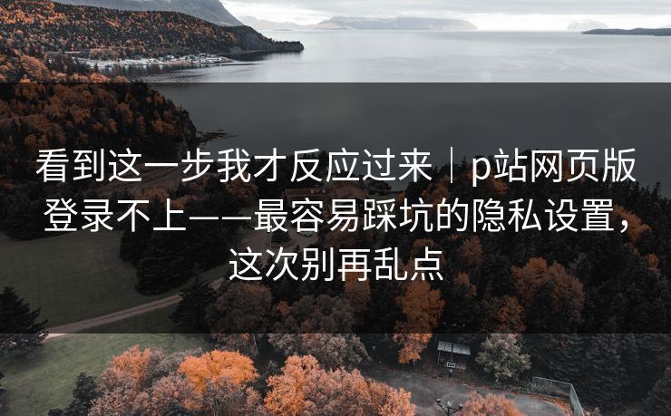 看到这一步我才反应过来｜p站网页版登录不上——最容易踩坑的隐私设置，这次别再乱点