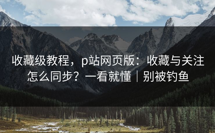 收藏级教程，p站网页版：收藏与关注怎么同步？一看就懂｜别被钓鱼