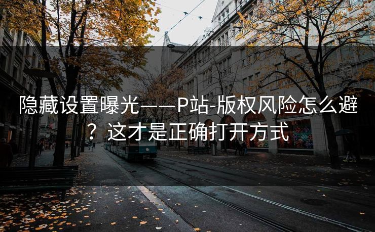 隐藏设置曝光——P站-版权风险怎么避?这才是正确打开方式 隐藏设置曝光——P站-版权风险怎么避?这才是正确打开方式