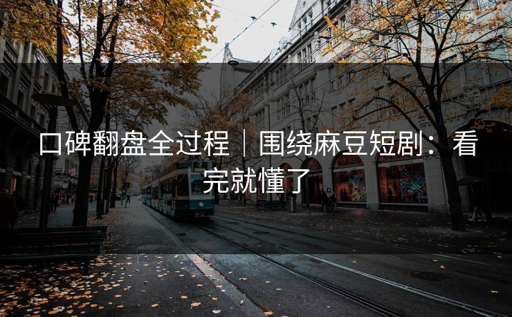 口碑翻盘全过程｜围绕麻豆短剧：看完就懂了