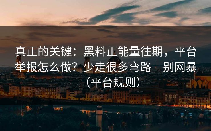 真正的关键：黑料正能量往期，平台举报怎么做？少走很多弯路｜别网暴（平台规则）