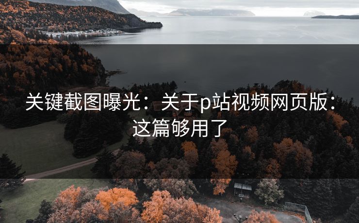 关键截图曝光:关于p站视频网页版:这篇够用了 关键截图曝光:关于p站视频网页版:这篇够用了