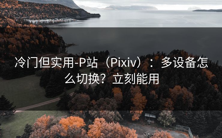 冷门但实用-P站（Pixiv）：多设备怎么切换？立刻能用