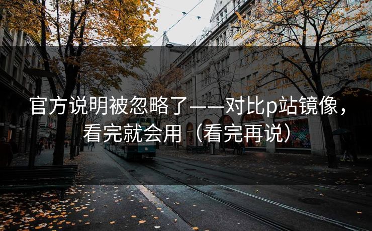 官方说明被忽略了——对比p站镜像,看完就会用(看完再说) 官方说明被忽略了——对比p站镜像,看完就会用(看完再说)