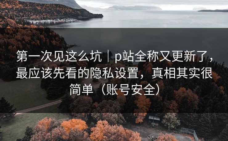 第一次见这么坑|p站全称又更新了,最应该先看的隐私设置,真相其实很简单(账号安全) 第一次见这么坑|p站全称又更新了,最应该先看的隐私设置,真相其实很简单(账号安全)