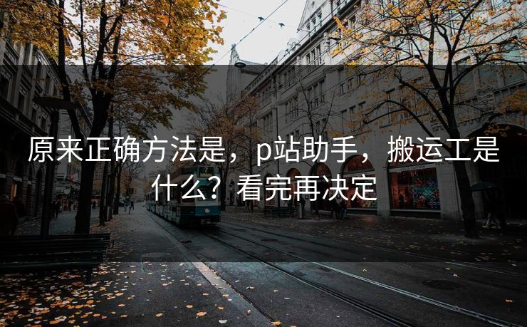 原来正确方法是，p站助手，搬运工是什么？看完再决定