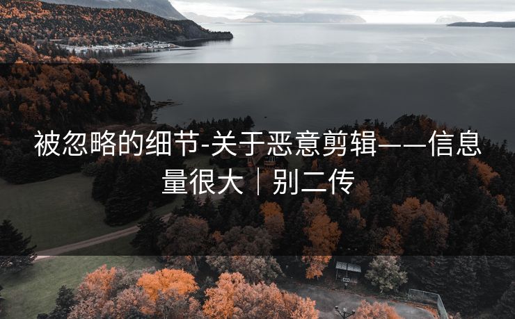 被忽略的细节-关于恶意剪辑——信息量很大｜别二传