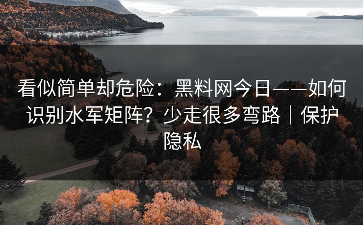 看似简单却危险：黑料网今日——如何识别水军矩阵？少走很多弯路｜保护隐私